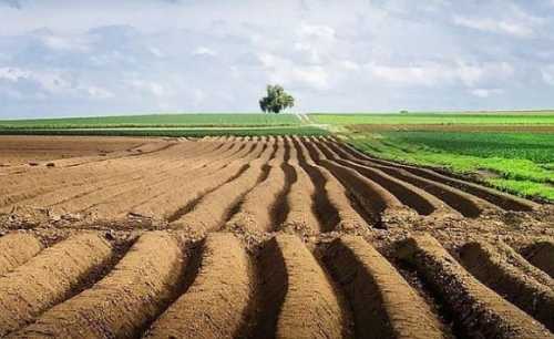 Аграрії закликають підписати петицію, щоб врятувати село - INFBusiness