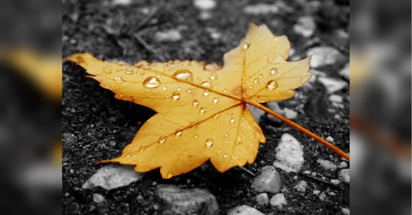 Морози до -14: в Україну йде різке похолодання - INFBusiness