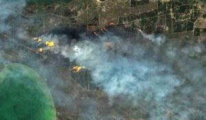 Екологи підрахували шкоду, завдану війною землям на Запоріжжі