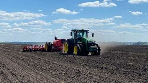 Kernel засіяв озимою пшеницею 27% земельного банку - INFBusiness