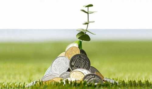 Проблеми агровиробників з деокупованих територій починають вирішуватись - INFBusiness