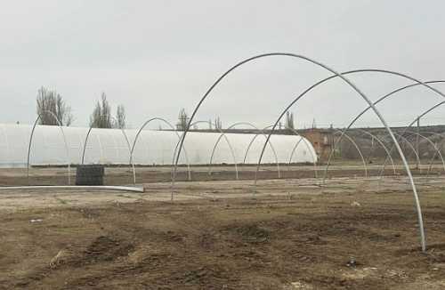 ПАЕК планує побудувати 10 сучасних теплиць - INFBusiness