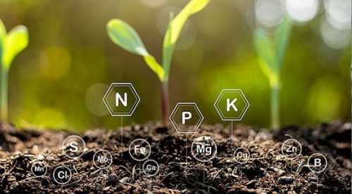 Світове виробництво добрив поступово відновлюється - INFBusiness