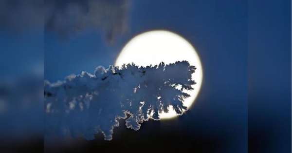 Остання повня 2023 року змінить долю двох знаків зодіаку: хто вони - INFBusiness