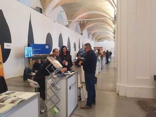 Обмін досвідом, приємні зустрічі та цікаве спілкування: у Києві відбулася бізнес-конференція OkAgro - INFBusiness