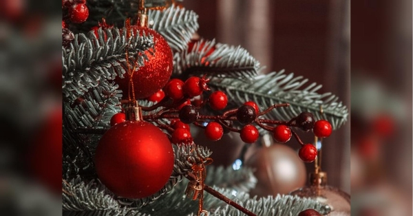 Зелений Дерев'яний Дракон на підході: найкращі листівки та привітання з Новим, 2024-м, роком - INFBusiness