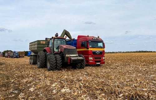 Cygnet Agrocompany відзвітував про врожайність 2023 року - INFBusiness