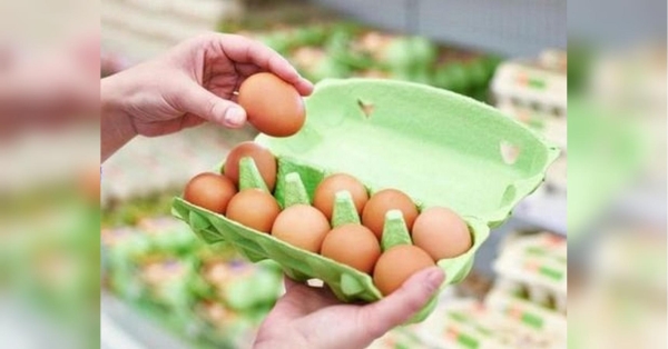 «Яєчна криза» в Криму: окупанти звинувачують колишніх депутатів з партії регіонів - INFBusiness