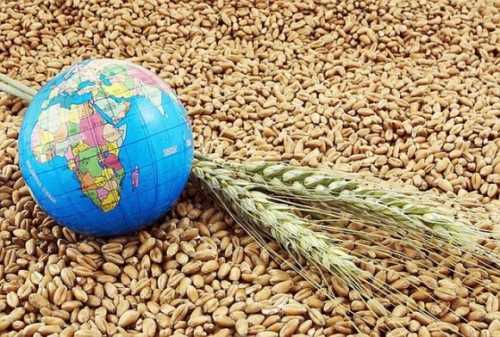 Індекс цін на продовольство ФАО в листопаді не змінився - INFBusiness