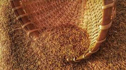 Молдова запровадила ліцензування імпорту агропродукції - INFBusiness