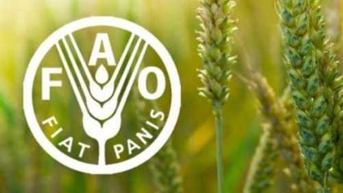 Завтра відбудеться передзаявочний вебінар другого грантового циклу інвестиційної програми ФАО - INFBusiness