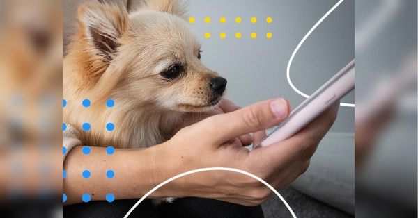 Збій у «Київстару»: які сервіси компанії поки що недоступні і коли абонентам чекати компенсації - INFBusiness