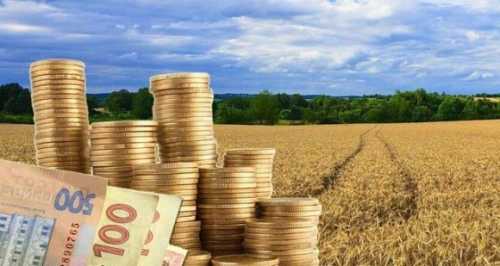 Зростання цін на землю не перекриває інфляцію - INFBusiness