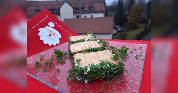 Хрумка закуска: готувати перед подаванням - INFBusiness