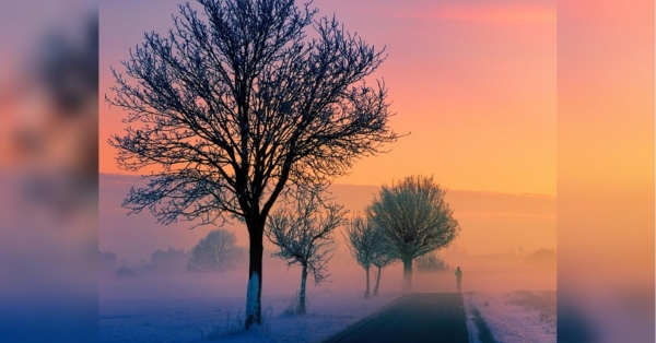 Чекайте на дощі та тумани — в Україну після морозів йде відлига: прогноз погоди на 15 — 21 січня - INFBusiness