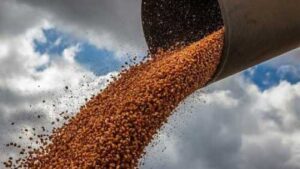 Єврокомісія вимагає від Польщі зняти ембарго на українське зерно