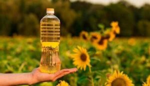 Україна у грудні експортувала рекордний обсяг соняшникової олії