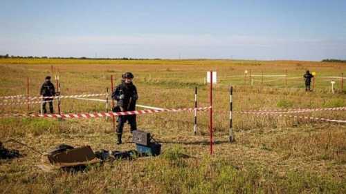 Україна за 10 років має повернути в користування 80% замінованих територій, – Денис Шмигаль - INFBusiness