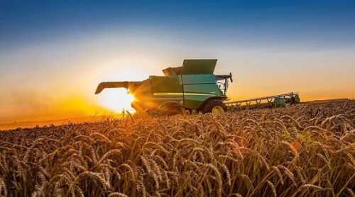 Українське сільське господарство здатне дестабілізувати продовольчу безпеку в ЄС, – заступник міністра Польщі