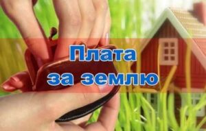 Сплата земельного податку у 2024 році: роз’яснення податкової