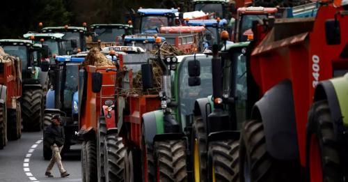 Протести фермерів у Європі: чи загрожують вони кризою ЄС та новими проблемами для України - INFBusiness
