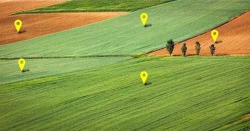 На Житомирщині держреєстратор незаконно перереєструвала понад 200 га землі - INFBusiness