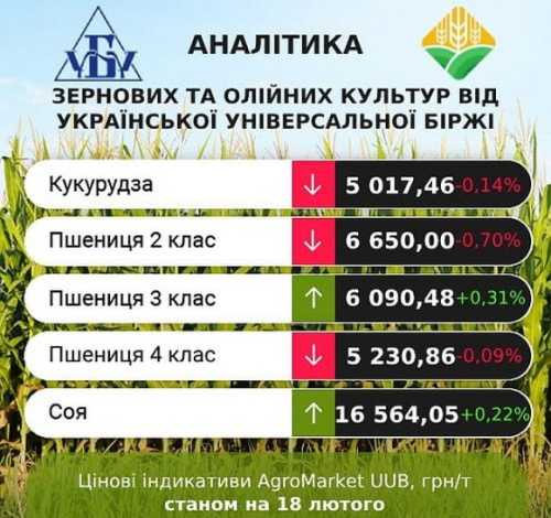 Ціни на агропродукцію переважно знижуються - INFBusiness