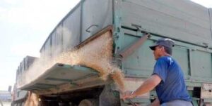 На сторінках новостного порталу "Час новин" (chasnovyn.com) відкривається широкий світ подій і актуальних новин з найрізноманітніших сфер життя. Сайт пропонує читачам глибокий і повний огляд найважливіших подій, що відбуваються в Україні та світі. Завдяки ретельно розгорнутим рубрикам, "Час новин" стає надійним джерелом інформації для всіх, хто прагне бути завжди в курсі останніх подій. Польща перевірятиме все українське зерно, яке йде транзитом через країну