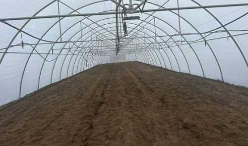 ПАЕК готуютєся висаджувати розсаду - INFBusiness