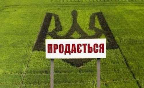 В умовах війни потрібно не розпродавати землі, а акумулювати зусилля, – Денис Марчук - INFBusiness