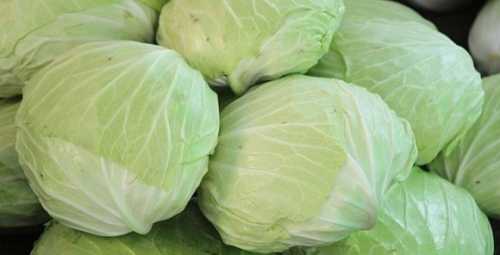 Ціни на капусту стрімко знижуються - INFBusiness
