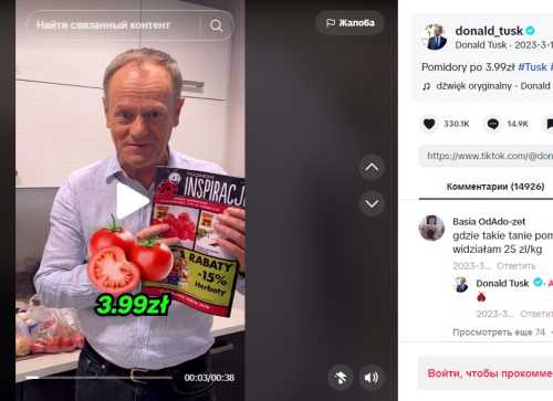 TikTok для глави держави: помідори Туска, кішки Мелоні та красень Макрон - INFBusiness