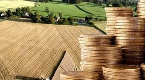 Активно купувати землю юридичні особи почнуть через пів року - INFBusiness