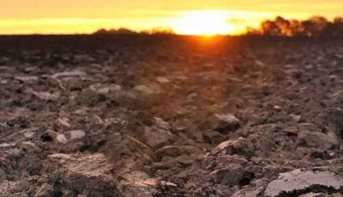 ЄС звільнив фермерів від вимоги тримати 4% землі під паром - INFBusiness