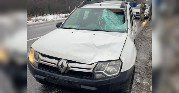 «Закарпатське сафарі»: у гонитві за ухилянтами прикордонники тяжко травмували українця - INFBusiness