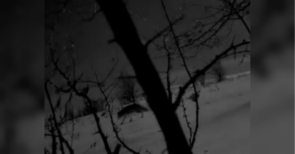 Прикордонники попередили ухилянтів про несподівану загрозу (відео) - INFBusiness