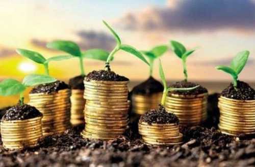 Фермер з Дніпропетровщини першим отримав гарантію на кредит від Фонду часткового гарантування - INFBusiness