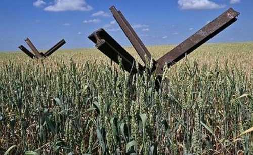 Втрати ринку землі від повномасштабного вторгнення росії сягають $325 млн, – аналітики - INFBusiness