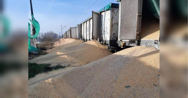 Найбільша диверсія «фермерів»: у Польщі невідомі висипали 160 тонн зерна з вагонів українського поїзда (фото, відео) - INFBusiness