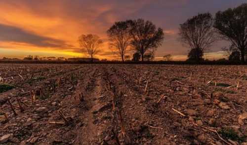 За 11 місяців минулого року громади заробили на сільгоспземлях 33,7 млрд грн - INFBusiness