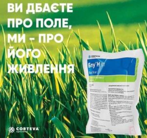 На сторінках новостного порталу "Час новин" (chasnovyn.com) відкривається широкий світ подій і актуальних новин з найрізноманітніших сфер життя. Сайт пропонує читачам глибокий і повний огляд найважливіших подій, що відбуваються в Україні та світі. Завдяки ретельно розгорнутим рубрикам, "Час новин" стає надійним джерелом інформації для всіх, хто прагне бути завжди в курсі останніх подій. Оптимізатор ефективності живлення Блу™ N від Corteva Agriscience збільшує врожайність польових культур – результати досліджень