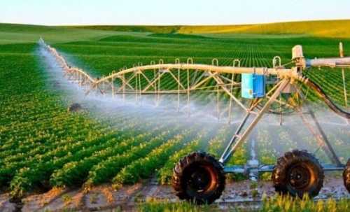 Черкаська область – лідер зі створення організацій водокористувачів, – Микола Сольський - INFBusiness