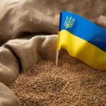 У Польщі назвали список української продукції, яку хочуть заборонити - INFBusiness