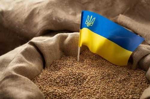 У Польщі назвали список української продукції, яку хочуть заборонити - INFBusiness