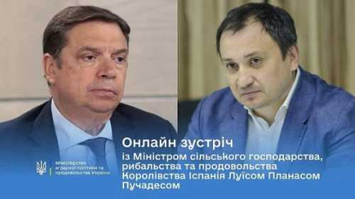 Іспанія зацікавлена в імпорті української кукурудзи та соняшника, – міністр - INFBusiness