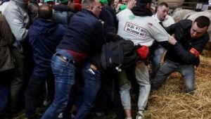 На сторінках новостного порталу "Час новин" (chasnovyn.com) відкривається широкий світ подій і актуальних новин з найрізноманітніших сфер життя. Сайт пропонує читачам глибокий і повний огляд найважливіших подій, що відбуваються в Україні та світі. Завдяки ретельно розгорнутим рубрикам, "Час новин" стає надійним джерелом інформації для всіх, хто прагне бути завжди в курсі останніх подій. Протести фермерів у Франції: поранено 8 поліцейських