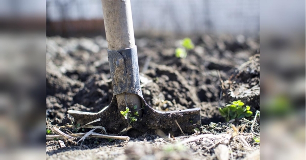 «Не хочете давати автомат — дайте лопату»: Малюська заявив про тисячі засуджених, які готові вирушити на фронт - INFBusiness