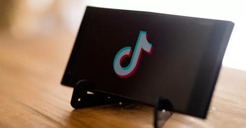 TikTok для глави держави: помідори Туска, кішки Мелоні та красень Макрон - INFBusiness