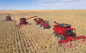 У 2024 році очікується зростання рентабельності зернових та олійних культур, – Мінагрополітики