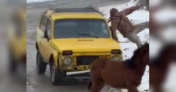 Поліція розшукала мешканців Буковини, які напали на військових із сокирами - INFBusiness